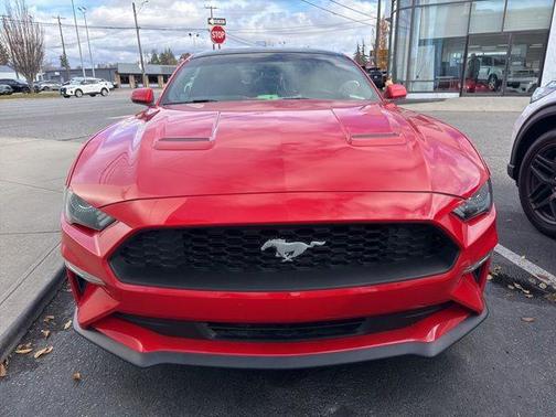2019 Ford Mustang EcoBoost