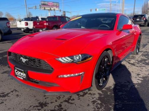 2019 Ford Mustang EcoBoost