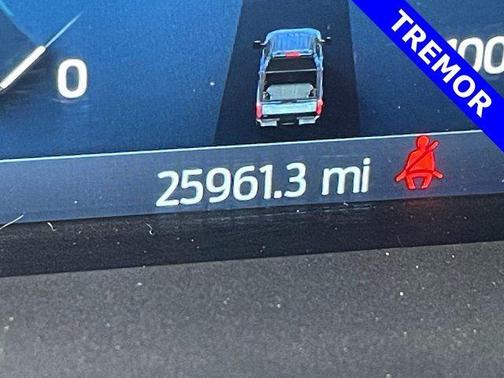 2025 Ford F-350 Platinum