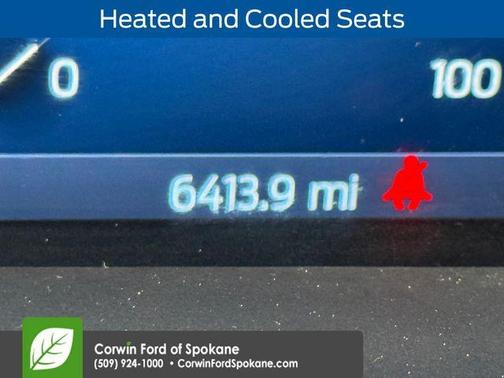 Carbonized Gray Metallic 2025 Ford F-450 Platinum