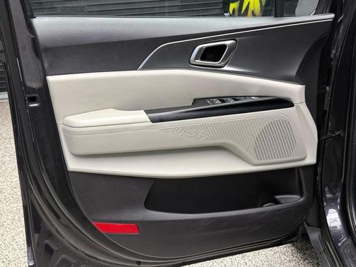 Panthera Metal 2024 Kia Carnival LX