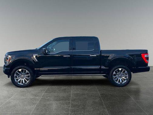 2023 Ford F-150 Limited