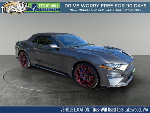 Magnetic 2019 Ford Mustang EcoBoost Premium