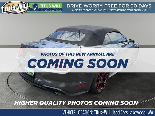 Magnetic 2019 Ford Mustang EcoBoost Premium
