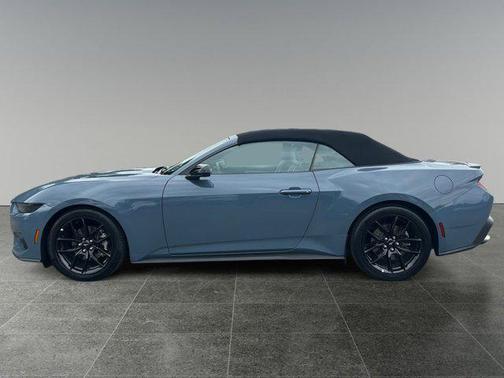 Vapor Blue 2025 Ford Mustang EcoBoost Premium