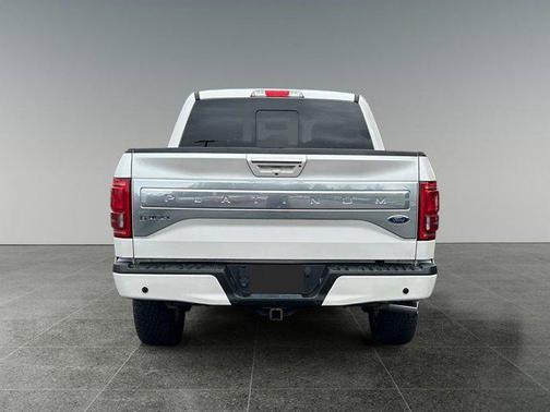 2015 Ford F-150 Platinum
