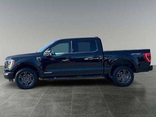 Agate Black Metallic 2023 Ford F-150 XLT