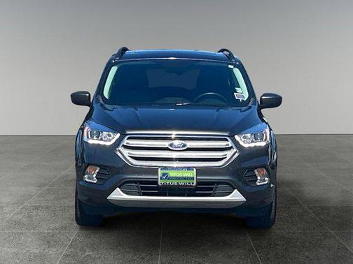 Magnetic 2019 Ford Escape SEL