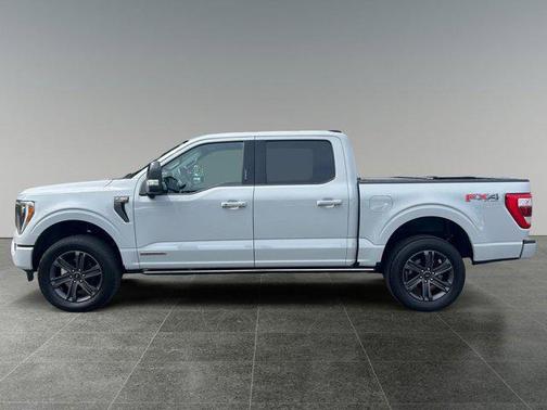 Avalanche 2023 Ford F-150 Lariat