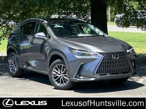 Cloudburst Gray 2024 Lexus NX 250 Premium