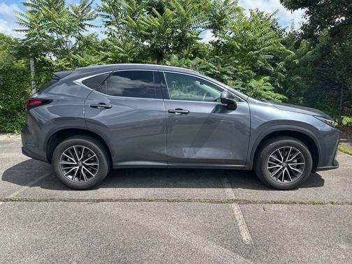Cloudburst Gray 2024 Lexus NX 250 Premium