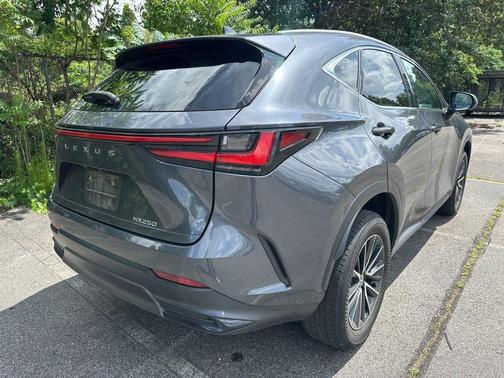 Cloudburst Gray 2024 Lexus NX 250 Premium