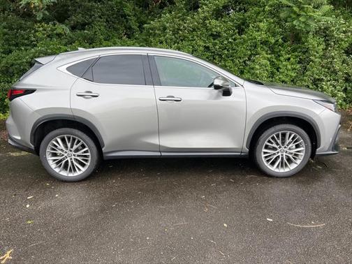 2025 Lexus NX 350h Premium