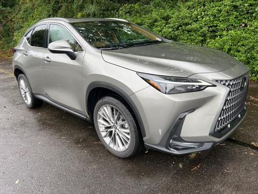 2025 Lexus NX 350h Premium