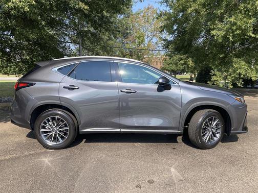 2025 Lexus NX 250 Premium