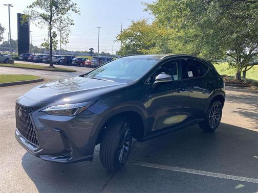 2025 Lexus NX 250 Premium