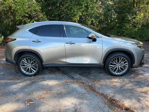 2024 Lexus NX 350 Luxury