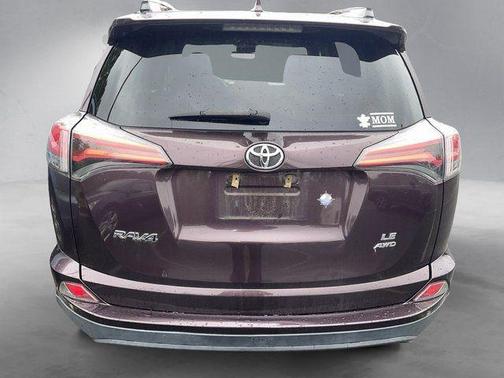 Black Currant 2017 Toyota RAV4 LE