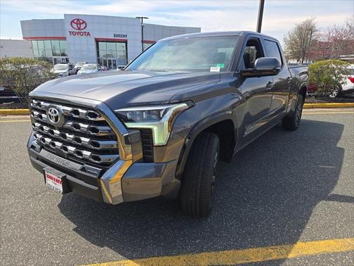 2025 Toyota Tundra Platinum