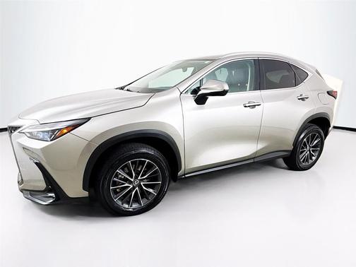 2024 Lexus NX 250 Premium