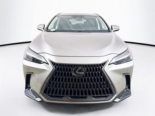 2024 Lexus NX 250 Premium