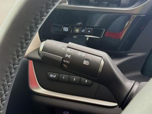 Iridium 2025 Lexus RZ 300e Premium