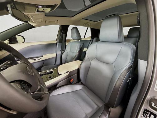 Iridium 2025 Lexus RZ 300e Premium