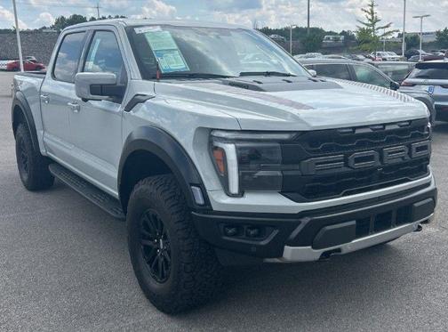 Avalanche 2024 Ford F-150 Raptor