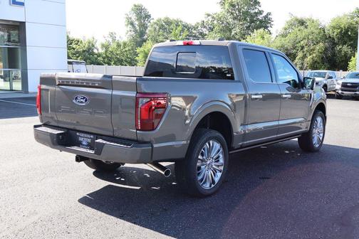 Marsh Gray 2026 Ford F-150 Platinum