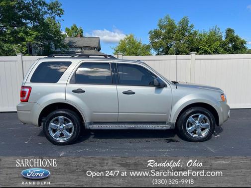 Gold Leaf Metallic 2010 Ford Escape XLT