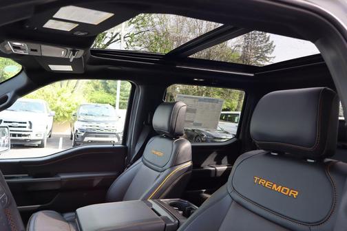 Iconic Silver Metallic 2026 Ford F-150 Tremor