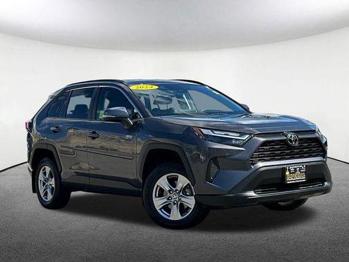 Magnetic Gray Metallic 2024 Toyota RAV4 XLE
