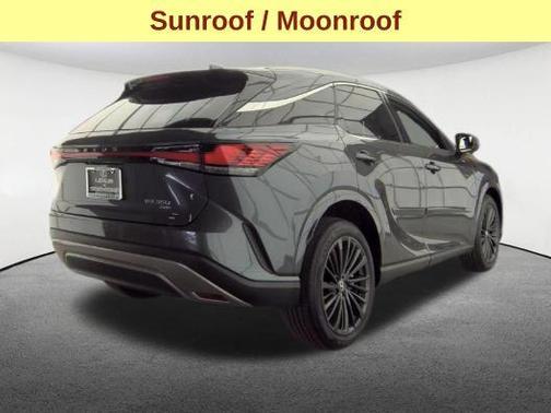 Cloudburst Gray 2024 Lexus RX 350 Premium