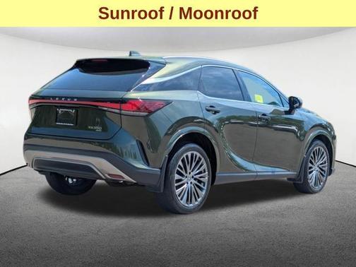 Nori Green Pearl 2023 Lexus RX 350 Luxury