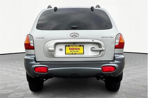 2004 Hyundai SANTA FE Base