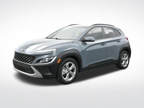 Cactus Fern 2022 Hyundai KONA SEL