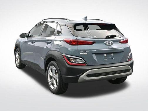 Cactus Fern 2022 Hyundai KONA SEL