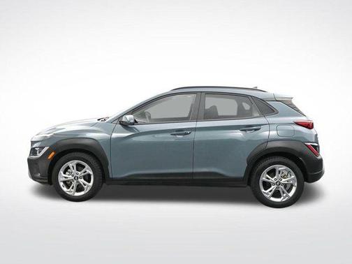 Cactus Fern 2022 Hyundai KONA SEL