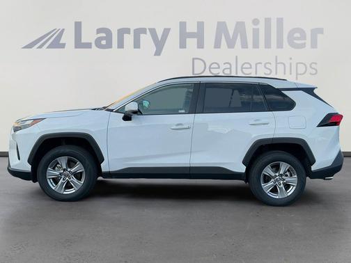 Ice Cap 2025 Toyota RAV4 XLE