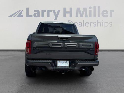 Magnetic Metallic 2019 Ford F-150 Raptor