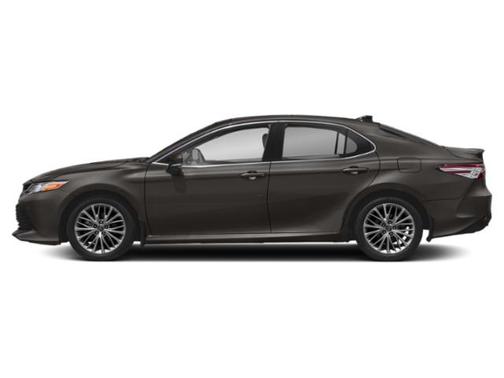 Predawn Gray Mica 2020 Toyota Camry XLE