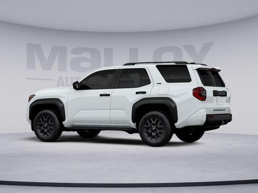 Ice 2026 Toyota 4Runner SR5