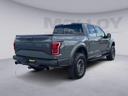 Lead Foot 2020 Ford F-150 Raptor