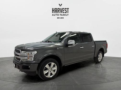 Magnetic 2019 Ford F-150 Platinum