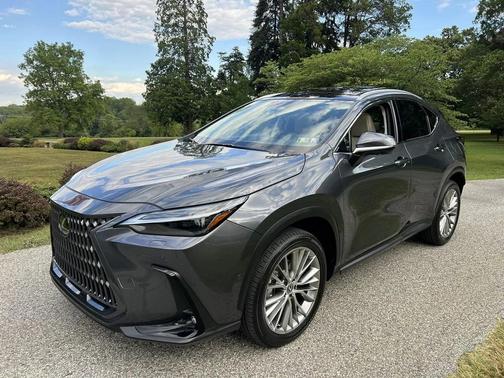 2025 Lexus NX 350 Luxury