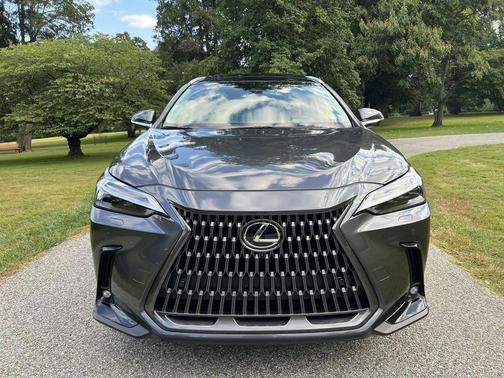 2025 Lexus NX 350 Luxury
