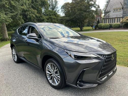 2025 Lexus NX 350 Luxury