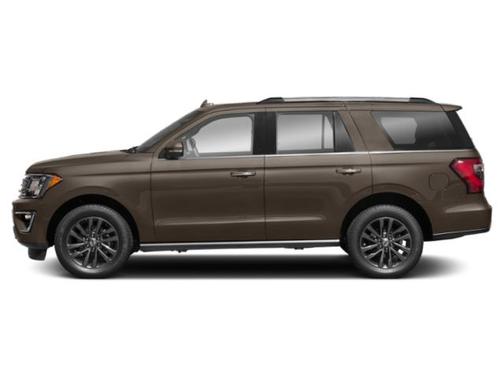 Stone Gray Metallic 2019 Ford Expedition Limited