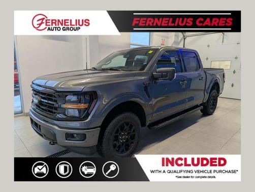 Carbonized Gray Metallic 2025 Ford F-150 XLT Truck