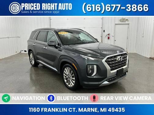 Rainforest 2020 Hyundai PALISADE Limited